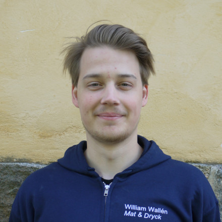 Bild på William Wallén